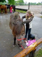 /album/verschiedenes/jazz-will-reiten-lernen-jpg/